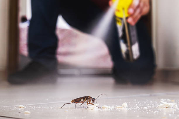 Pest Prevention Services in Kermit, TX